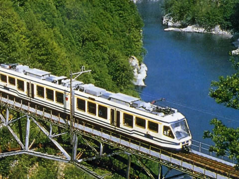 Prenotazione trenino delle Centovalli, Lago Maggiore Express, Funivie del Mottarone, trenino di Orta, trenino di Stresa